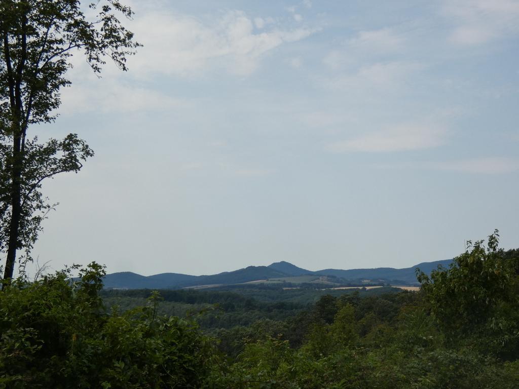 4043-0019.JPG