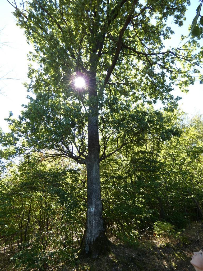 4051-0005.JPG