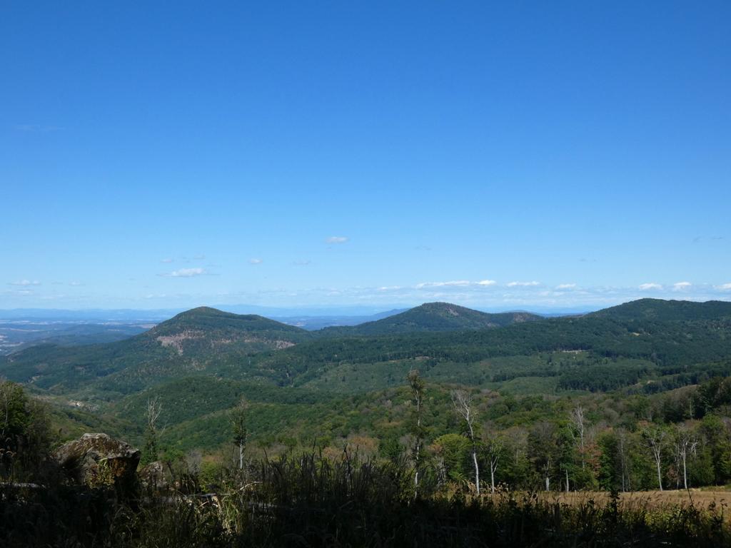 4051-0015.JPG