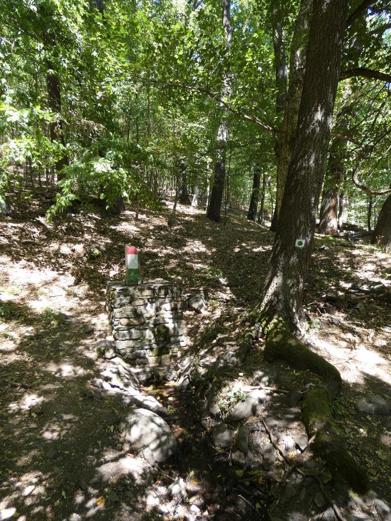 4051-0022.JPG