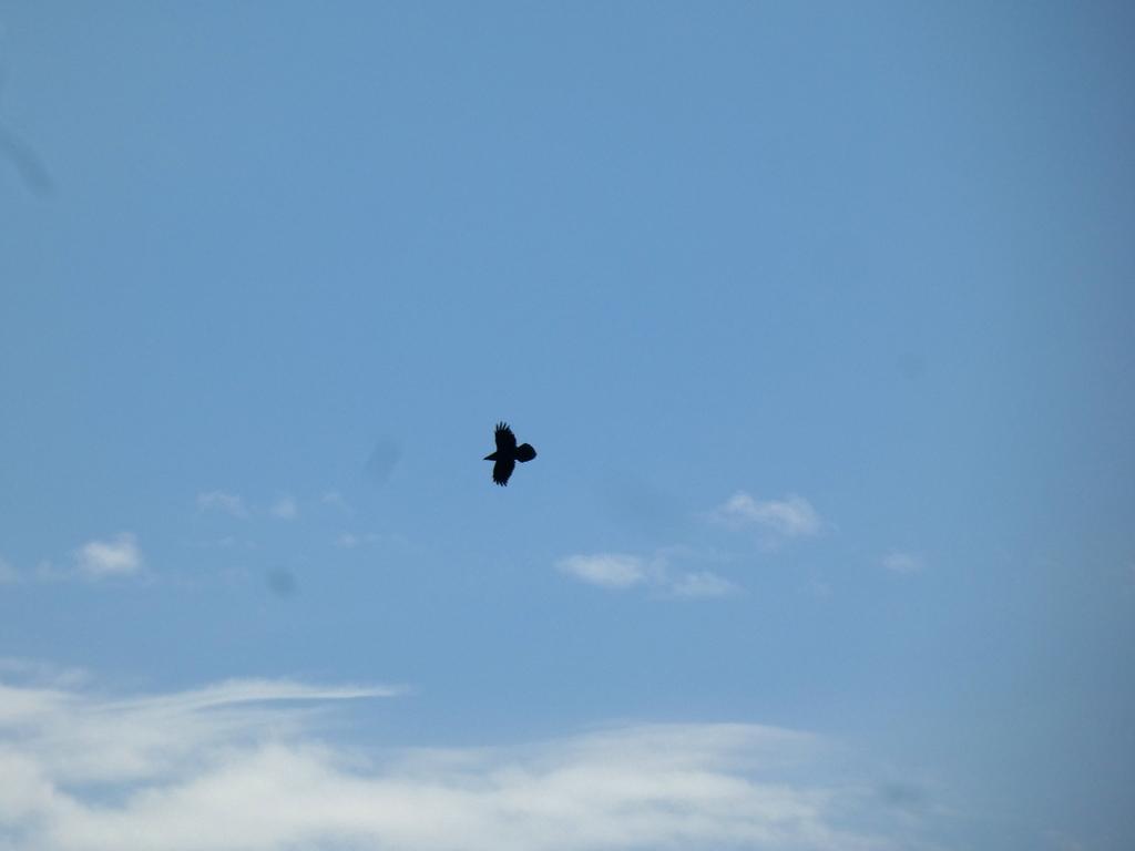 4051-0041.JPG