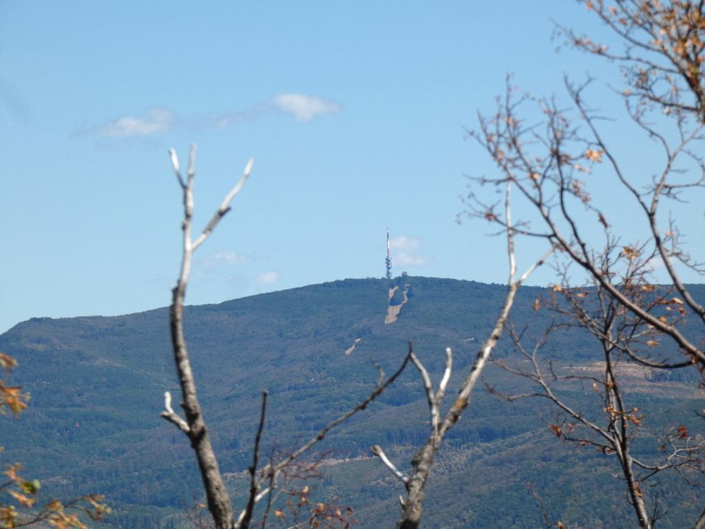 4051-0048.JPG