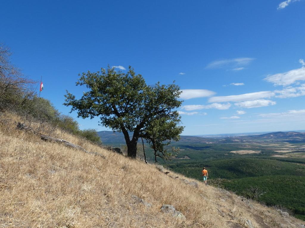 4051-0059.JPG
