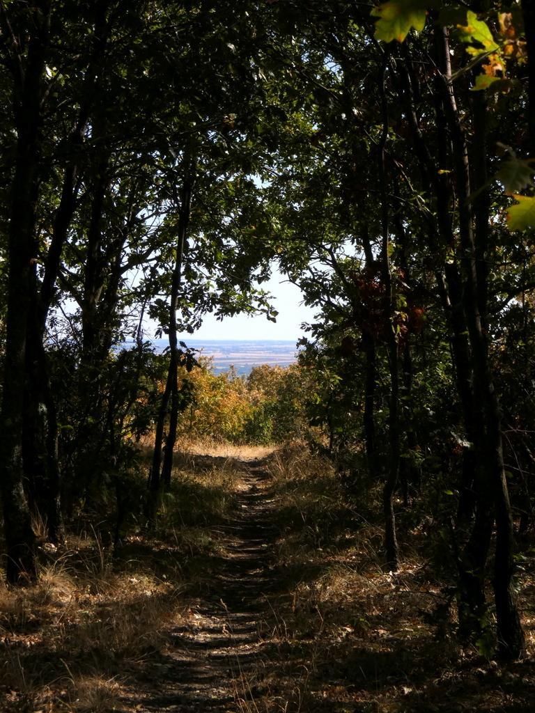 4051-0071.JPG
