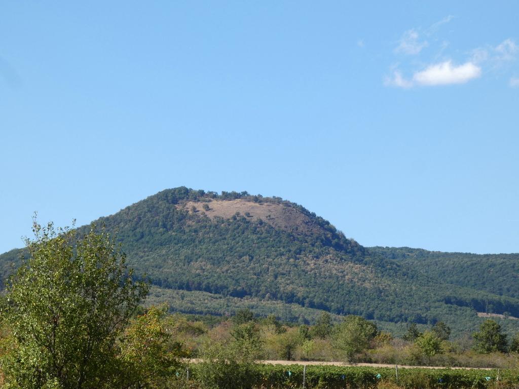 4051-0074.JPG