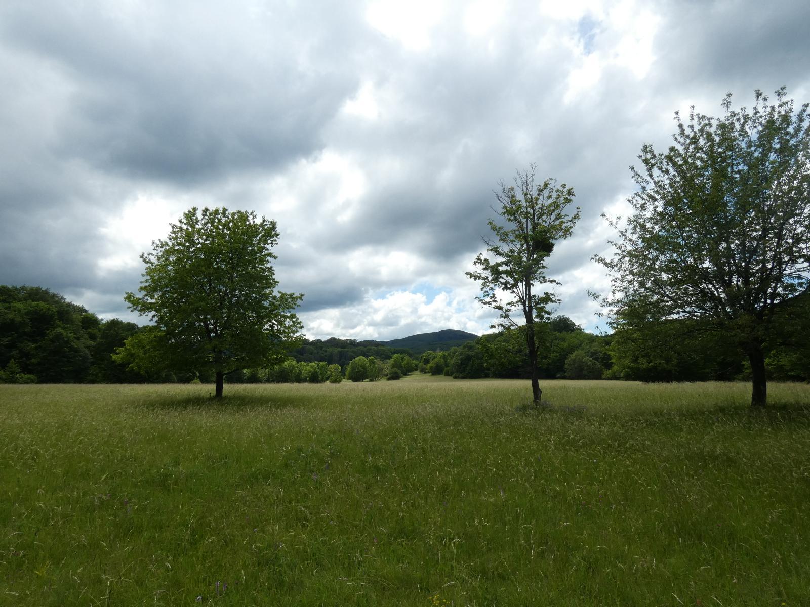 4031-0071.JPG