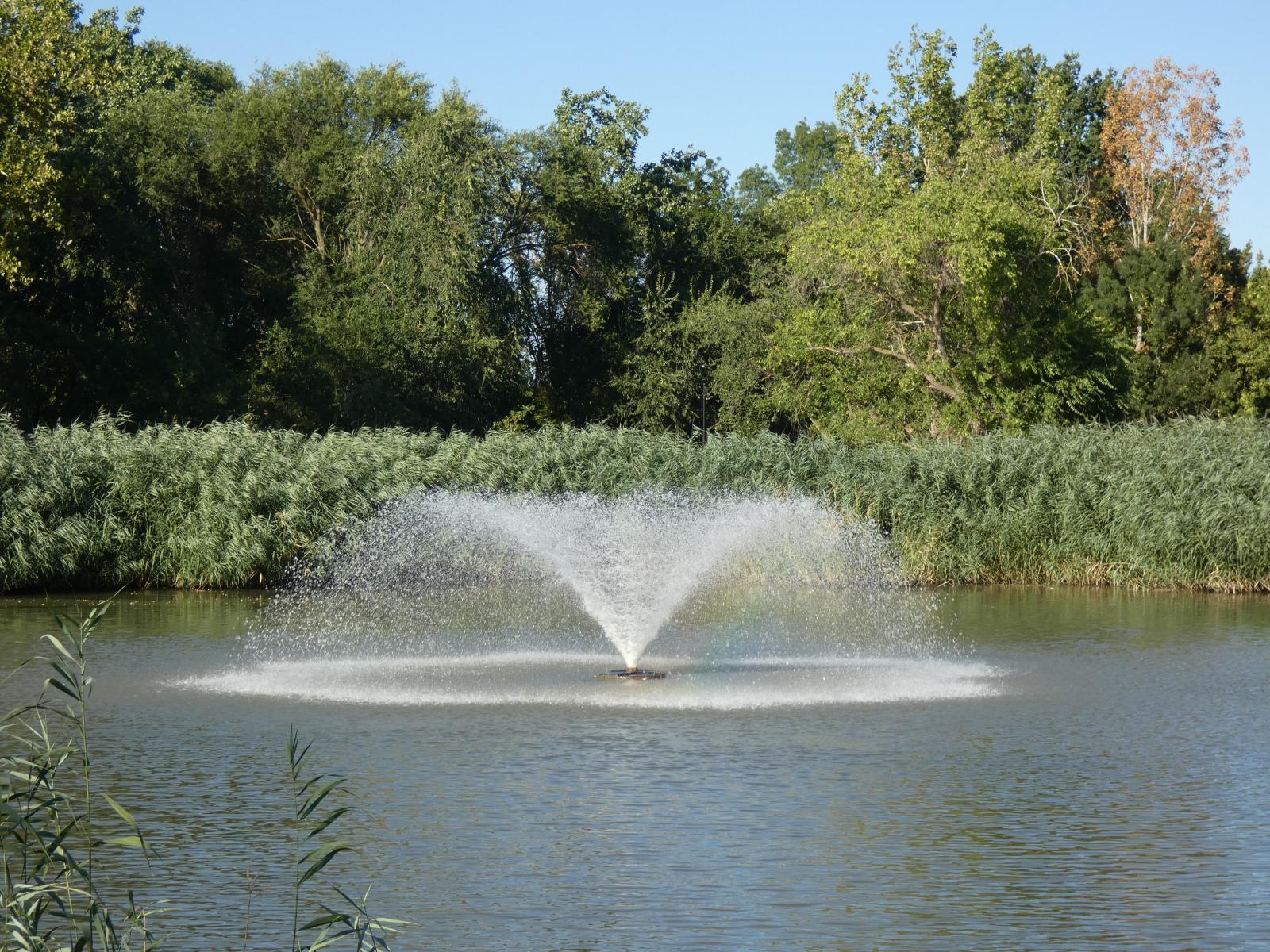 4048-0064.JPG