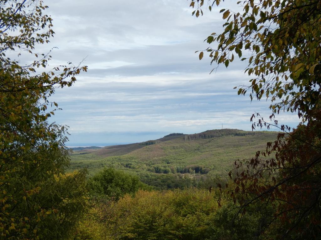 4053-0045.JPG