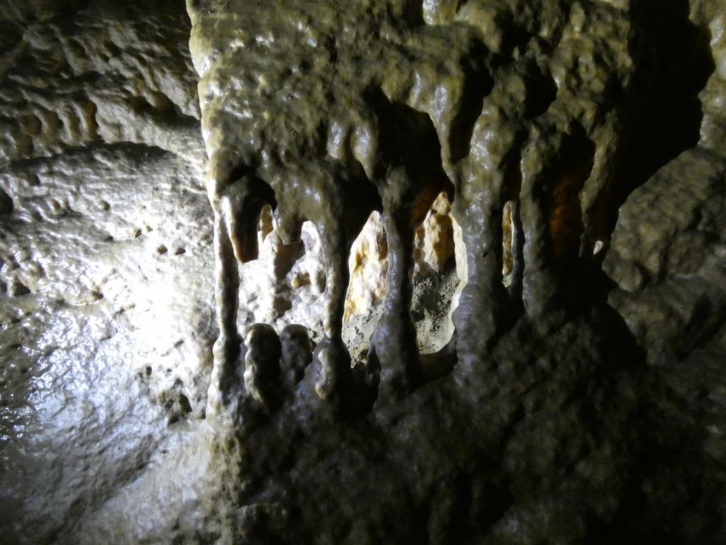 4053-0070.JPG